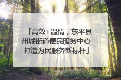 高效+温情，东平县州城街道便民服务中心打造为民服务新标杆