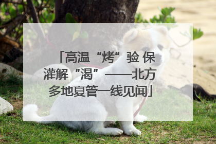 高温“烤”验 保灌解“渴”——北方多地夏管一线见闻