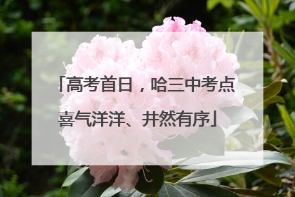 高考首日，哈三中考点喜气洋洋、井然有序