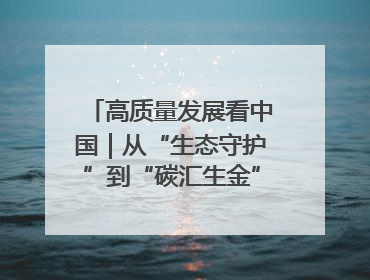 高质量发展看中国｜从“生态守护”到“碳汇生金”——中国石油大庆油田绿色蝶变