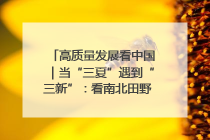 高质量发展看中国｜当“三夏”遇到“三新”：看南北田野里的科技共生记