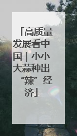 高质量发展看中国｜小小大蒜种出“辣”经济