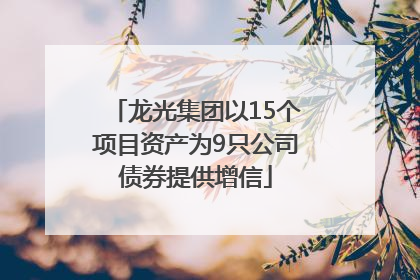 龙光集团以15个项目资产为9只公司债券提供增信