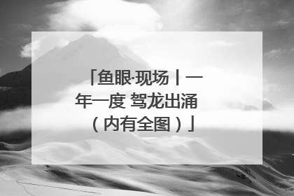 鱼眼·现场丨一年一度 驾龙出涌（内有全图）