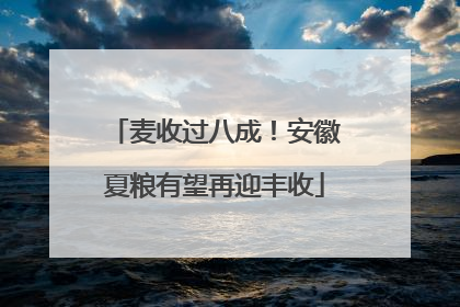 麦收过八成！安徽夏粮有望再迎丰收