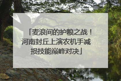 麦浪间的护粮之战！河南封丘上演农机手减损技能巅峰对决