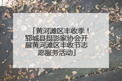 黄河滩区丰收季！郓城县摄影家协会开展黄河滩区丰收节志愿服务活动