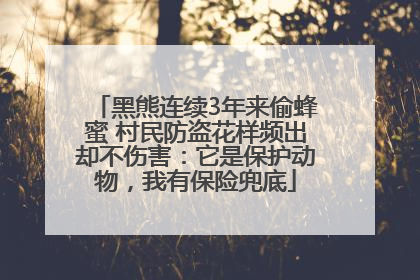 黑熊连续3年来偷蜂蜜 村民防盗花样频出却不伤害：它是保护动物，我有保险兜底