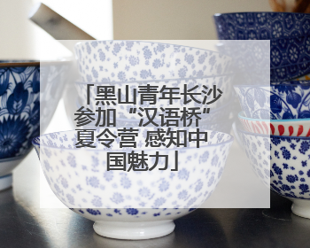 黑山青年长沙参加“汉语桥”夏令营 感知中国魅力