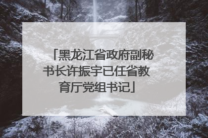 黑龙江省政府副秘书长许振宇已任省教育厅党组书记