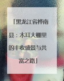 黑龙江省桦南县：木耳大棚里的丰收盛景与共富之路