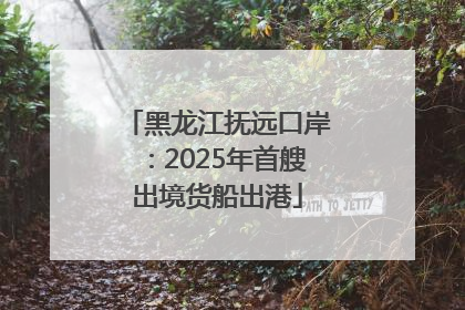黑龙江抚远口岸：2025年首艘出境货船出港
