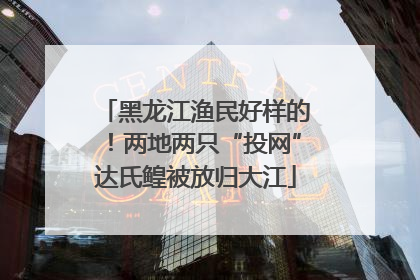 黑龙江渔民好样的！两地两只“投网”达氏鳇被放归大江