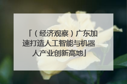 （经济观察）广东加速打造人工智能与机器人产业创新高地