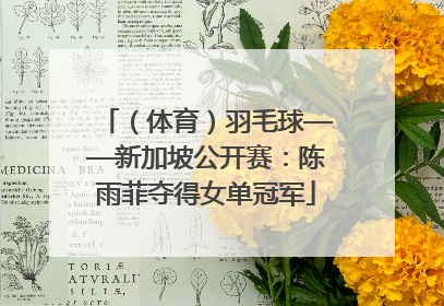 （体育）羽毛球——新加坡公开赛：陈雨菲夺得女单冠军
