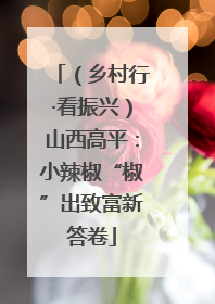 （乡村行·看振兴）山西高平：小辣椒“椒”出致富新答卷