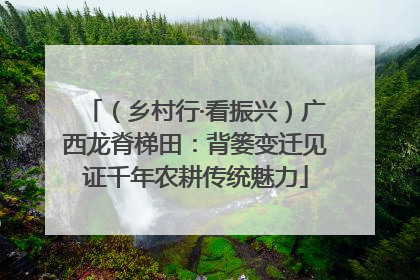 （乡村行·看振兴）广西龙脊梯田：背篓变迁见证千年农耕传统魅力