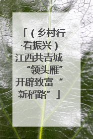 （乡村行·看振兴）江西共青城“领头雁”开辟致富“新稻路”