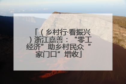 （乡村行·看振兴）浙江嘉善：“零工经济”助乡村民众“家门口”增收