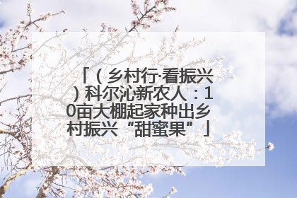 （乡村行·看振兴）科尔沁新农人：10亩大棚起家种出乡村振兴“甜蜜果”