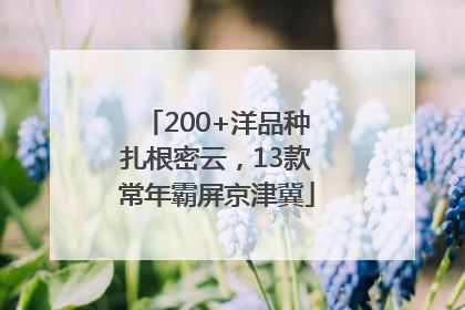 200+洋品种扎根密云，13款常年霸屏京津冀