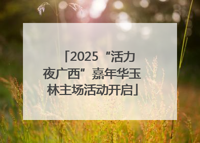 2025“活力夜广西”嘉年华玉林主场活动开启