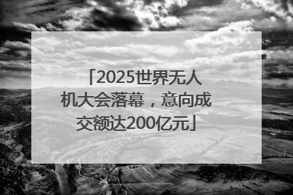 2025世界无人机大会落幕，意向成交额达200亿元