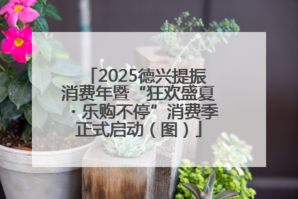 2025德兴提振消费年暨“狂欢盛夏・乐购不停”消费季正式启动（图）