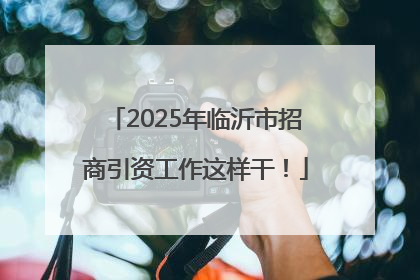 2025年临沂市招商引资工作这样干！