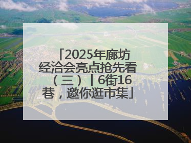 2025年廊坊经洽会亮点抢先看（三）丨6街16巷，邀你逛市集
