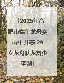 2025年合肥市端午龙舟赛雨中开赛 29支龙舟队龙舞少荃湖