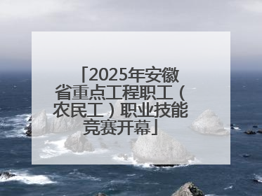 2025年安徽省重点工程职工（农民工）职业技能竞赛开幕