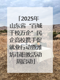 2025年山东省“百城千校万企”民企高校携手促就业行动暨潍坊市职教活动周启动