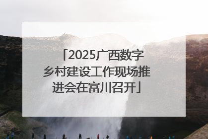 2025广西数字乡村建设工作现场推进会在富川召开