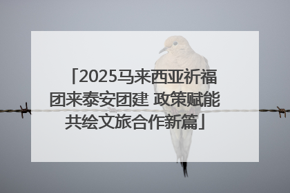 2025马来西亚祈福团来泰安团建 政策赋能共绘文旅合作新篇