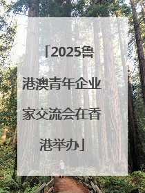 2025鲁港澳青年企业家交流会在香港举办