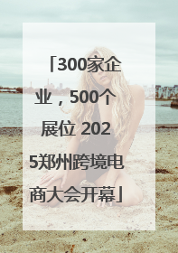 300家企业，500个展位 2025郑州跨境电商大会开幕