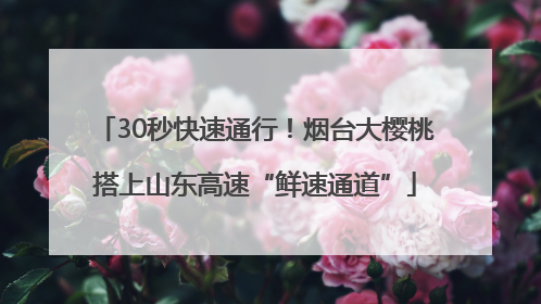 30秒快速通行！烟台大樱桃搭上山东高速“鲜速通道”