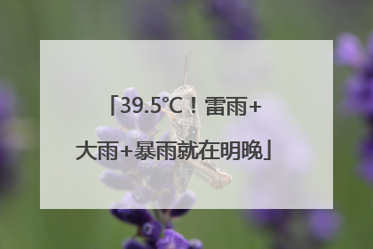 39.5℃！雷雨+大雨+暴雨就在明晚