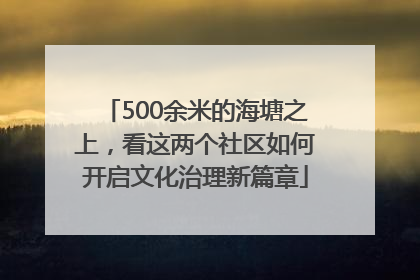 500余米的海塘之上，看这两个社区如何开启文化治理新篇章