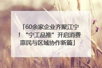 60余家企业齐聚江宁！“宁工品推”开启消费惠民与区域协作新篇