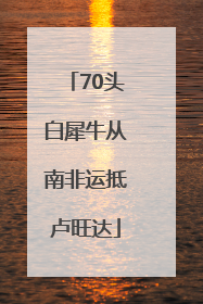 70头白犀牛从南非运抵卢旺达