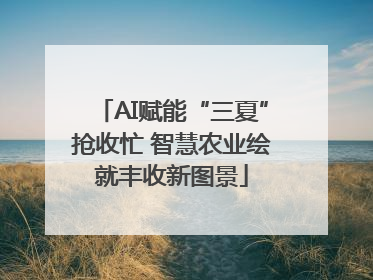 AI赋能“三夏”抢收忙 智慧农业绘就丰收新图景