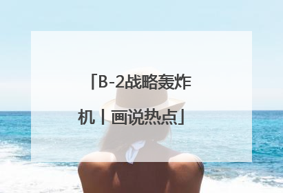 B-2战略轰炸机丨画说热点