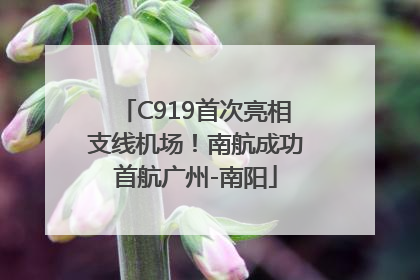 C919首次亮相支线机场！南航成功首航广州-南阳