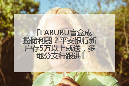 LABUBU盲盒成揽储利器？平安银行新户存5万以上就送，多地分支行跟进