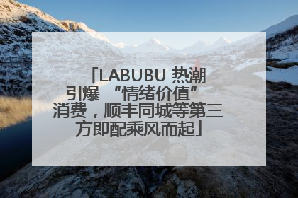 LABUBU 热潮引爆 “情绪价值” 消费，顺丰同城等第三方即配乘风而起