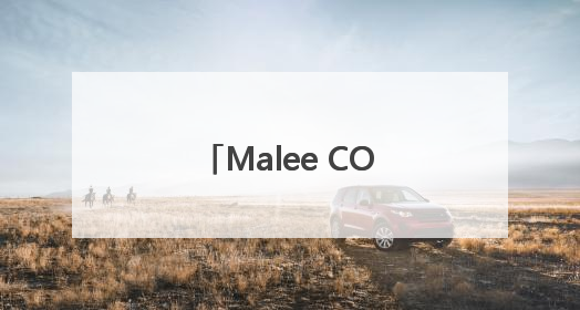Malee COCO椰子水官宣张凌赫为亚太代言人，以“美不费力”开启健康生活好状态