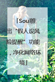 Soul推出“假人设风险提醒”功能，净化网络环境