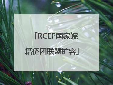 RCEP国家皖籍侨团联盟扩容